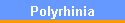 Polyrhinia